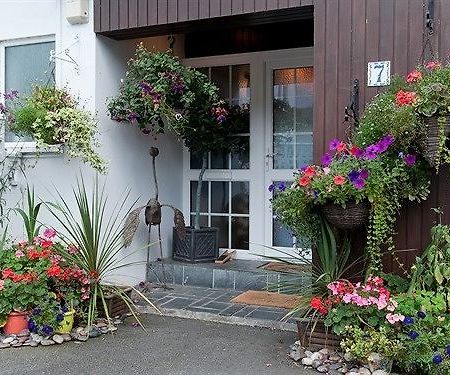 Guesthouse Topos St Austell Eksteriør billede